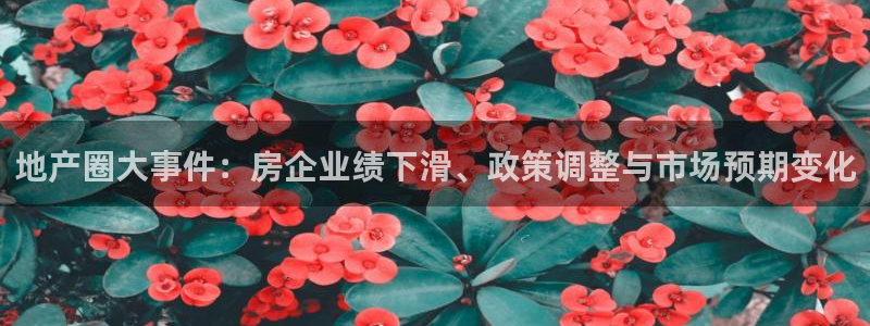 新宝5官方下载地址：地产圈大事件：房企业绩下滑、政策调整与市