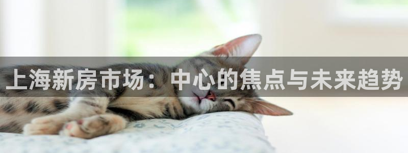 新宝5平台：上海新房市场：中心的焦点与未来趋势