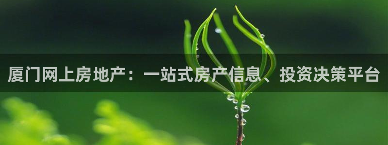 新宝5如何下载：厦门网上房地产：一站式房产信息、投资决策平台