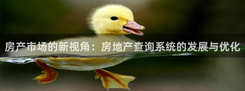 新宝5娱乐都：房产市场的新视角：房地产查询系统的发展与优化