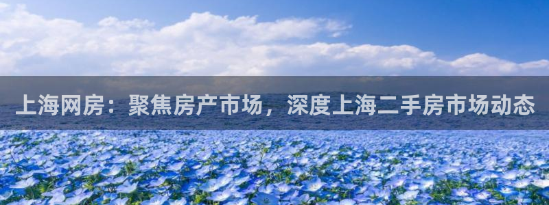 新宝5怎么代理：上海网房：聚焦房产市场，深度上海二手房市场动
