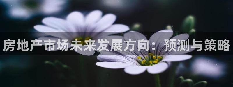 新宝5 - 测速登陆：房地产市场未来发展方向：预测与策略
