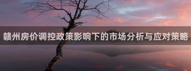 新宝5X：赣州房价调控政策影响下的市场分析与应对策略