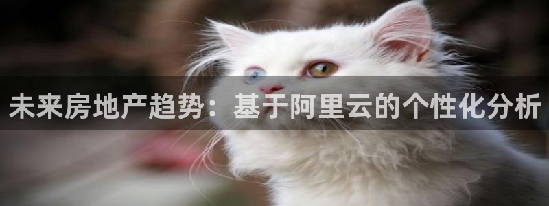 p5r新宝魔：未来房地产趋势：基于阿里云的个性化分析