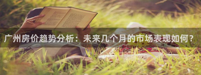 新宝cR一5：广州房价趋势分析：未来几个月的市场表现如何？