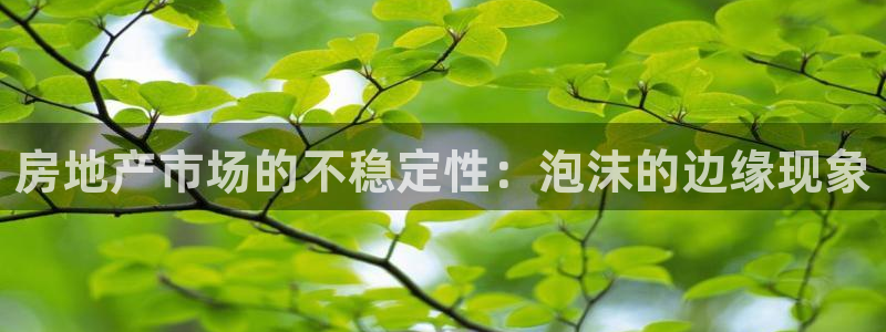 新宝5开户：房地产市场的不稳定性：泡沫的边缘现象