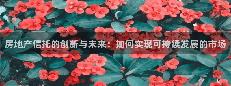 新宝5开户：房地产信托的创新与未来：如何实现可持续发展的市场