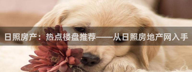 新宝5彩票平台登陆：日照房产：热点楼盘推荐——从日照房地产网