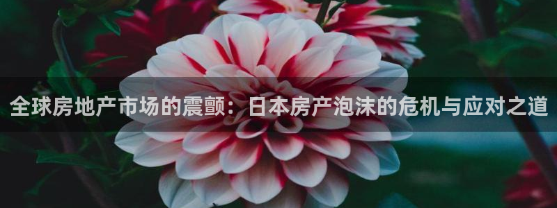 新宝5 - 测速登陆：全球房地产市场的震颤：日本房产泡沫的危