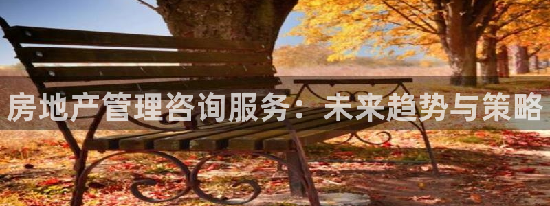新宝5电脑：房地产管理咨询服务：未来趋势与策略