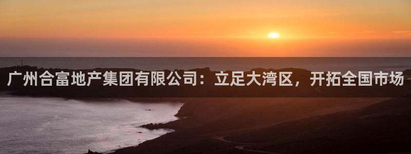 新宝集团新宝5：广州合富地产集团有限公司：立足大湾区，开拓全