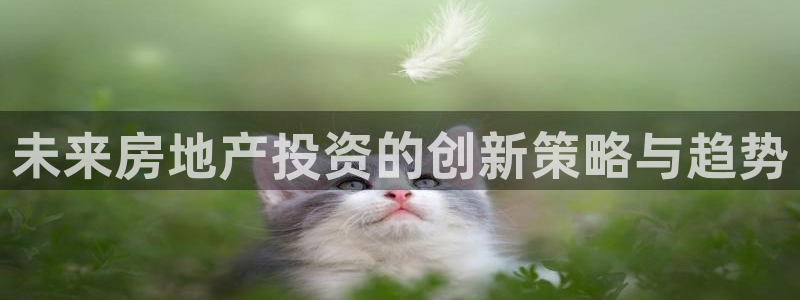 新宝测速5：未来房地产投资的创新策略与趋势