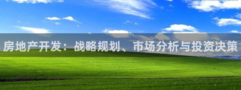 新宝5下载 迅雷下载：房地产开发：战略规划、市场分析与投资决