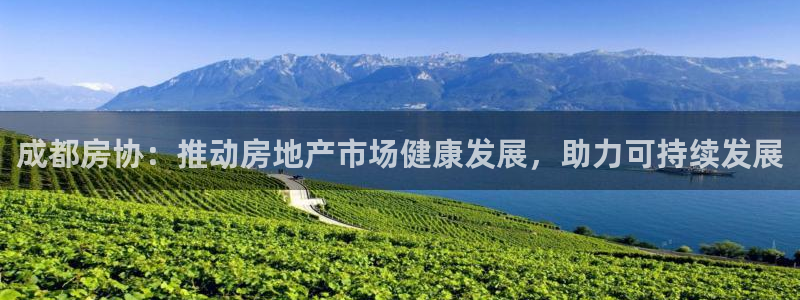 新宝5娱乐代理：成都房协：推动房地产市场健康发展，助力可持续