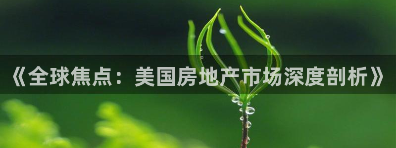 新宝5分彩：《全球焦点：美国房地产市场深度剖析》