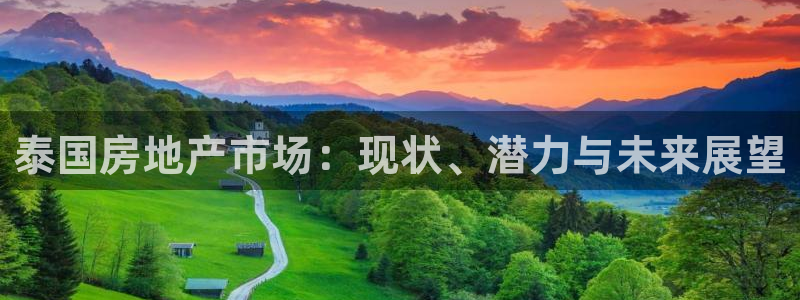 新宝5现在还能玩吗：泰国房地产市场：现状、潜力与未来展望