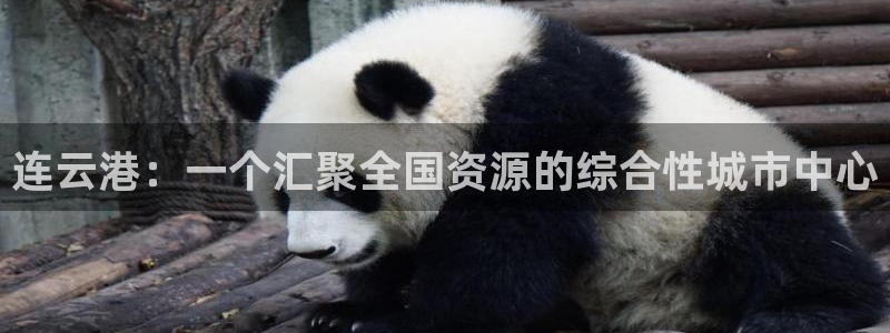 新宝5月：连云港：一个汇聚全国资源的综合性城市中心