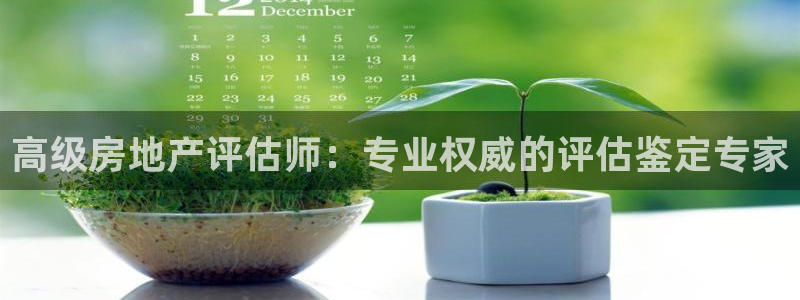 新宝5网：高级房地产评估师：专业权威的评估鉴定专家