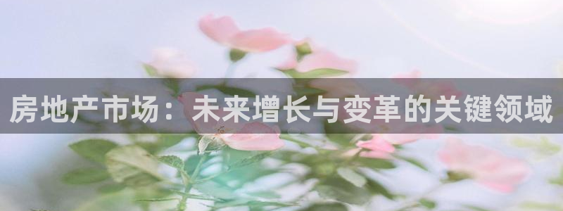 新宝5彩票娱乐平台：房地产市场：未来增长与变革的关键领域
