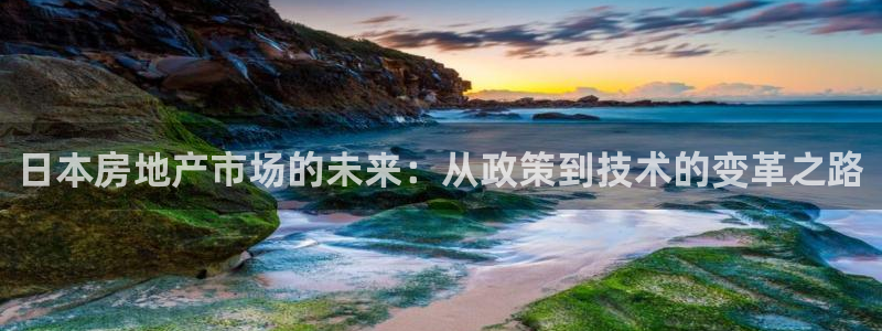 新宝5王问74OOO5：日本房地产市场的未来：从政策到技术的