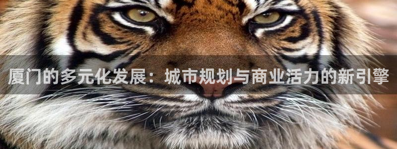 新宝h2O5O5O：厦门的多元化发展：城市规划与商业活力的新