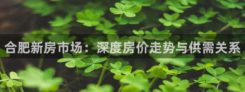 新宝5注册测速登录：合肥新房市场：深度房价走势与供需关系