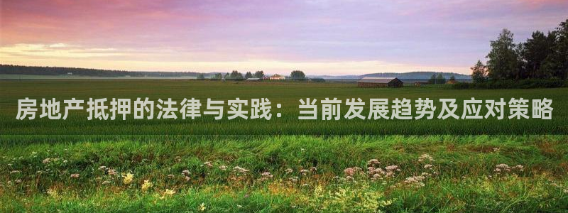 新宝奇迹GG5：房地产抵押的法律与实践：当前发展趋势及应对策