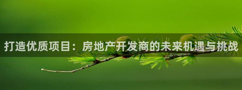 新宝5下载测试：打造优质项目：房地产开发商的未来机遇与挑战