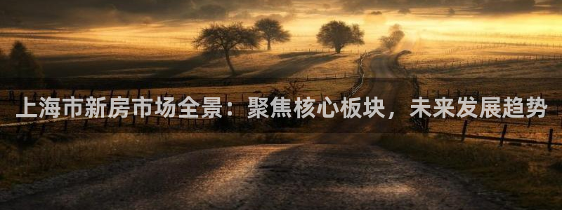 新宝5 测速：上海市新房市场全景：聚焦核心板块，未来发展趋势