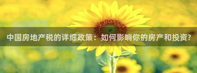 新宝5在哪里：中国房地产税的详细政策：如何影响你的房产和投资
