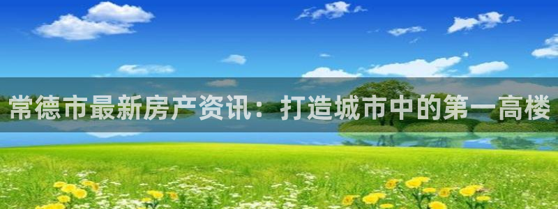 新宝新5：常德市最新房产资讯：打造城市中的第一高楼