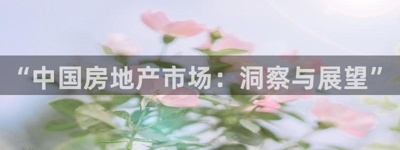 新宝5登录不了：“中国房地产市场：洞察与展望”