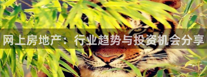 新宝5平台登录下载软件：网上房地产：行业趋势与投资机会分享