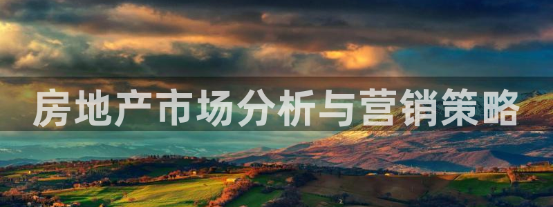 p5r新宝魔：房地产市场分析与营销策略