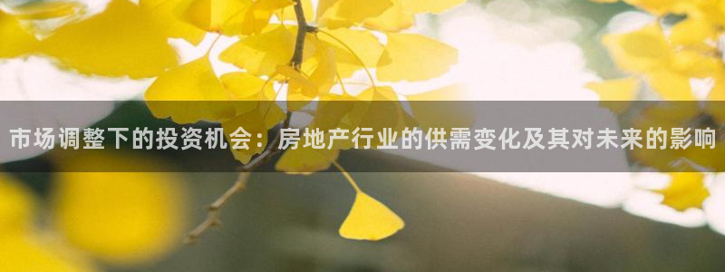 新宝5招商部：市场调整下的投资机会：房地产行业的供需变化及其