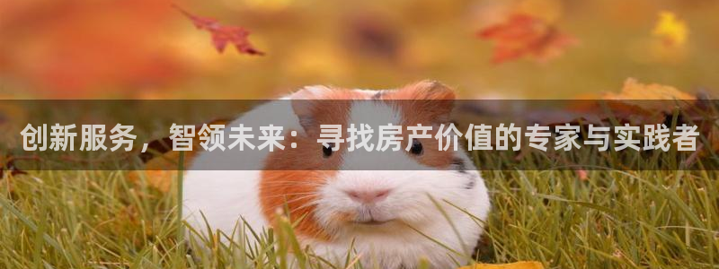 新宝5网站：创新服务，智领未来：寻找房产价值的专家与实践者