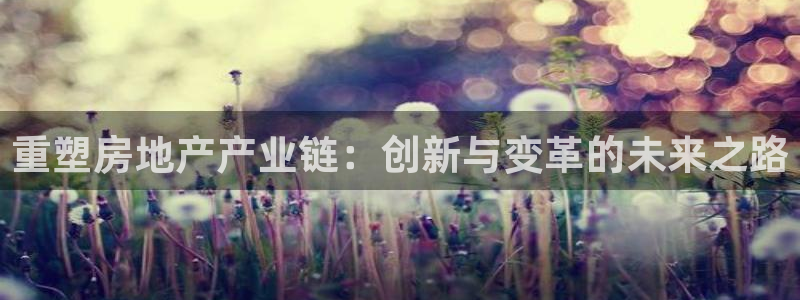 新宝5 注册：重塑房地产产业链：创新与变革的未来之路