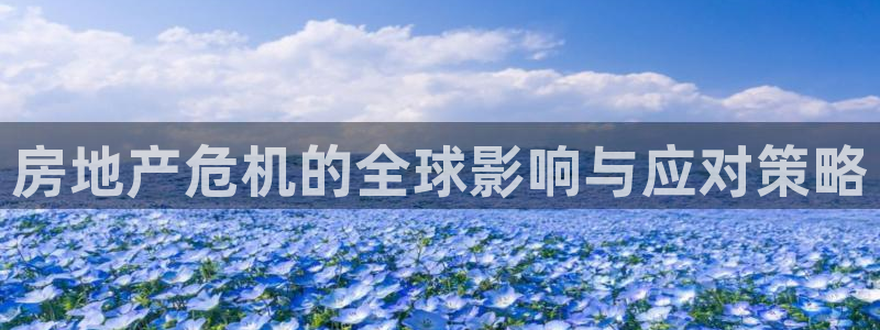 新宝5主管：房地产危机的全球影响与应对策略