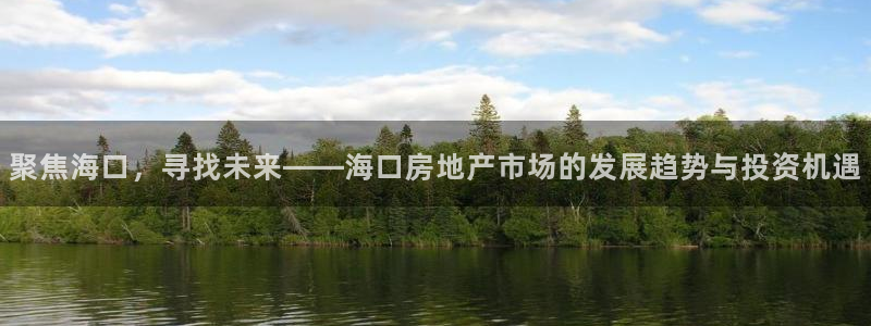 新宝股东瞧听2 5 5：聚焦海口，寻找未来——海口房地产市场