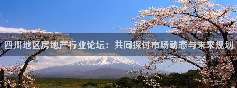 新宝5周74OOO5：四川地区房地产行业论坛：共同探讨市场动