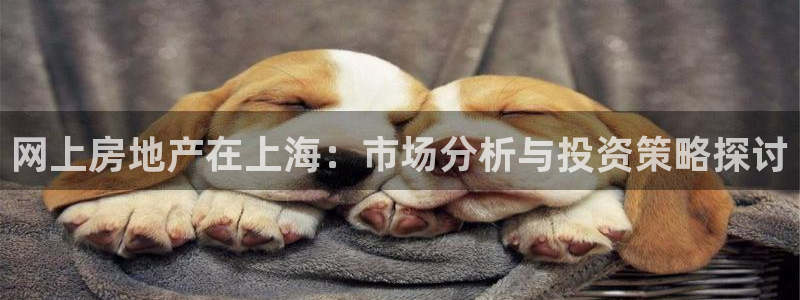 新宝5测速下载：网上房地产在上海：市场分析与投资策略探讨