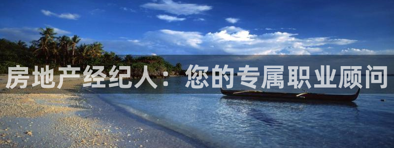 新宝5黑：房地产经纪人：您的专属职业顾问