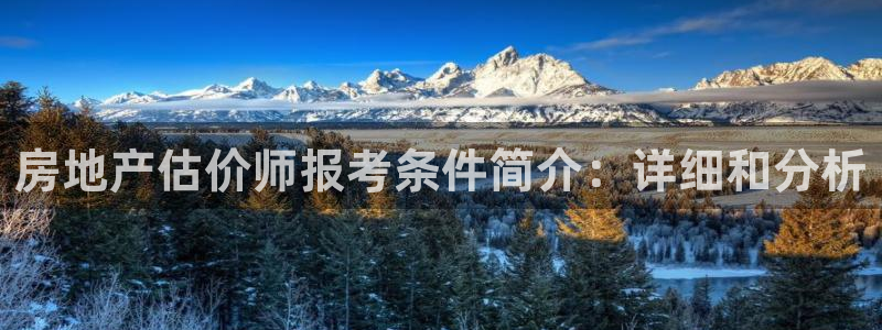 皇冠新宝5：房地产估价师报考条件简介：详细和分析