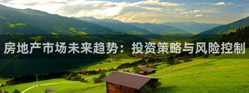 新宝5注册测速登录：房地产市场未来趋势：投资策略与风险控制