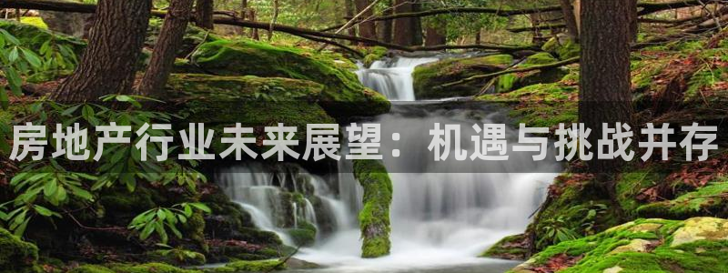 新宝速5：房地产行业未来展望：机遇与挑战并存