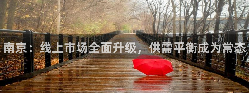 新宝5吴74OOO5：南京：线上市场全面升级，供需平衡成为常