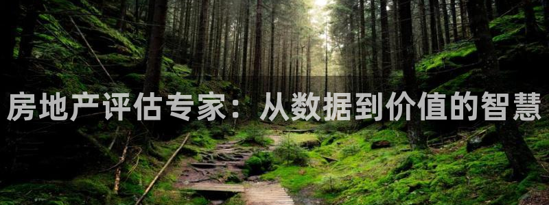 新宝5现在还能玩吗：房地产评估专家：从数据到价值的智慧