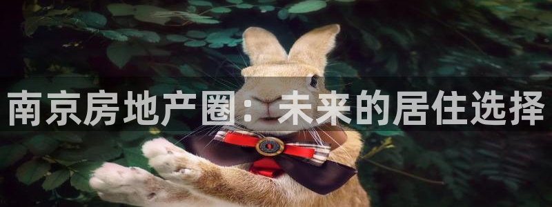 新宝5注册首页：南京房地产圈：未来的居住选择