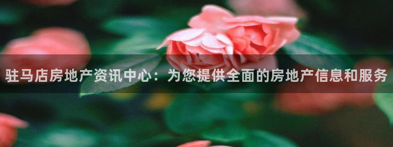 新宝5尤74OOO5：驻马店房地产资讯中心：为您提供全面的房