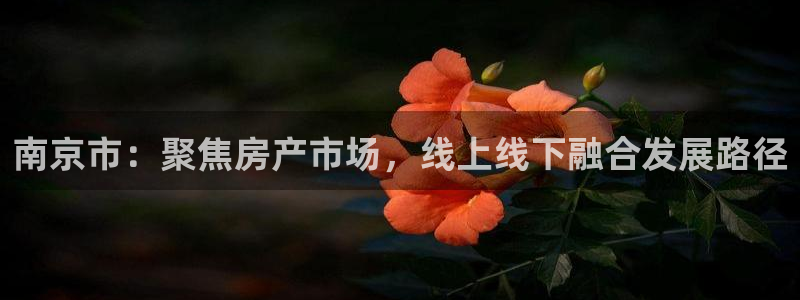 新宝5登录网址：南京市：聚焦房产市场，线上线下融合发展路径
